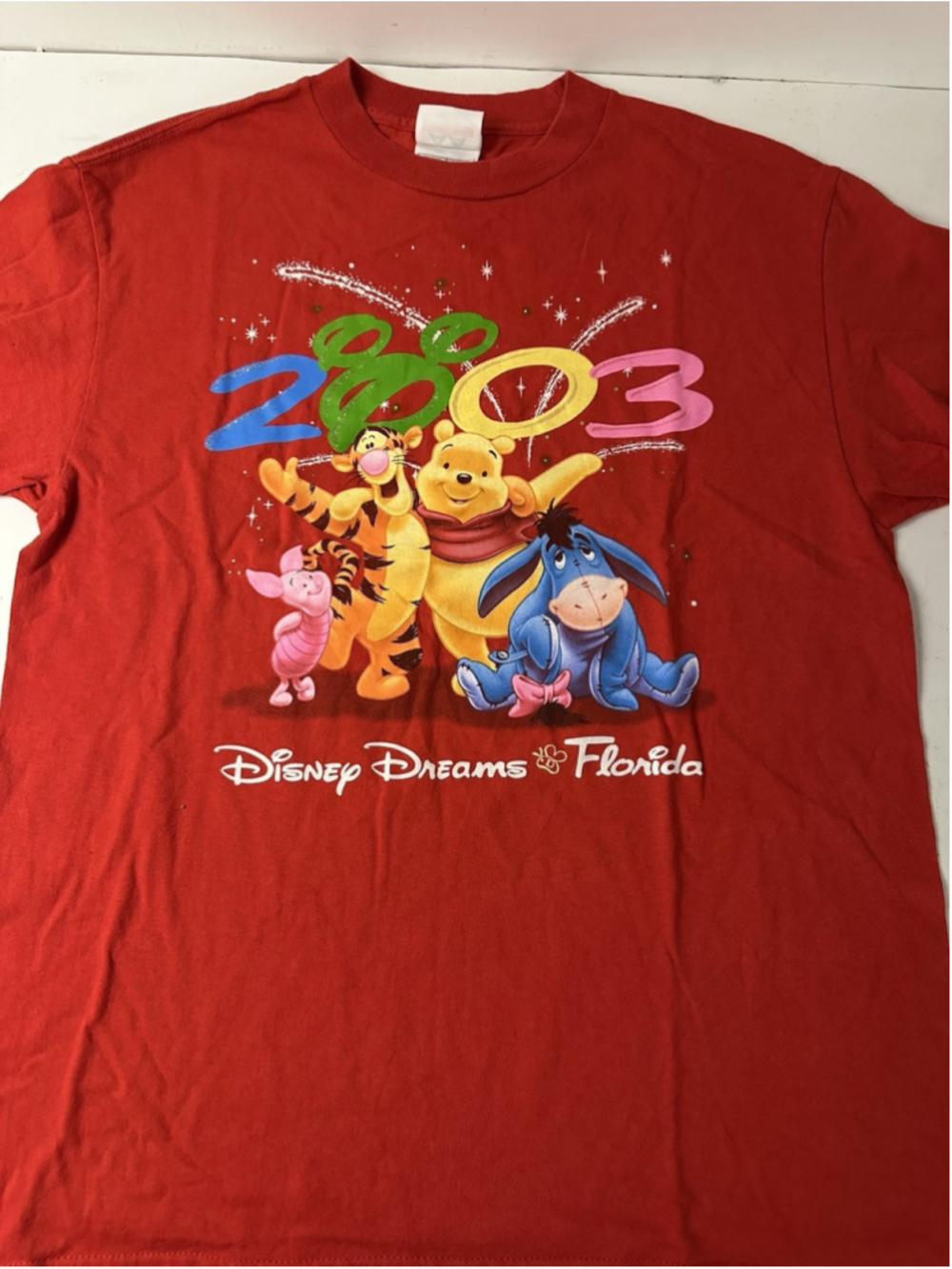Vintage 2003 Disney Dreams Florida T Shirt Winnie the Pooh Tigger Eeyore AAA Red